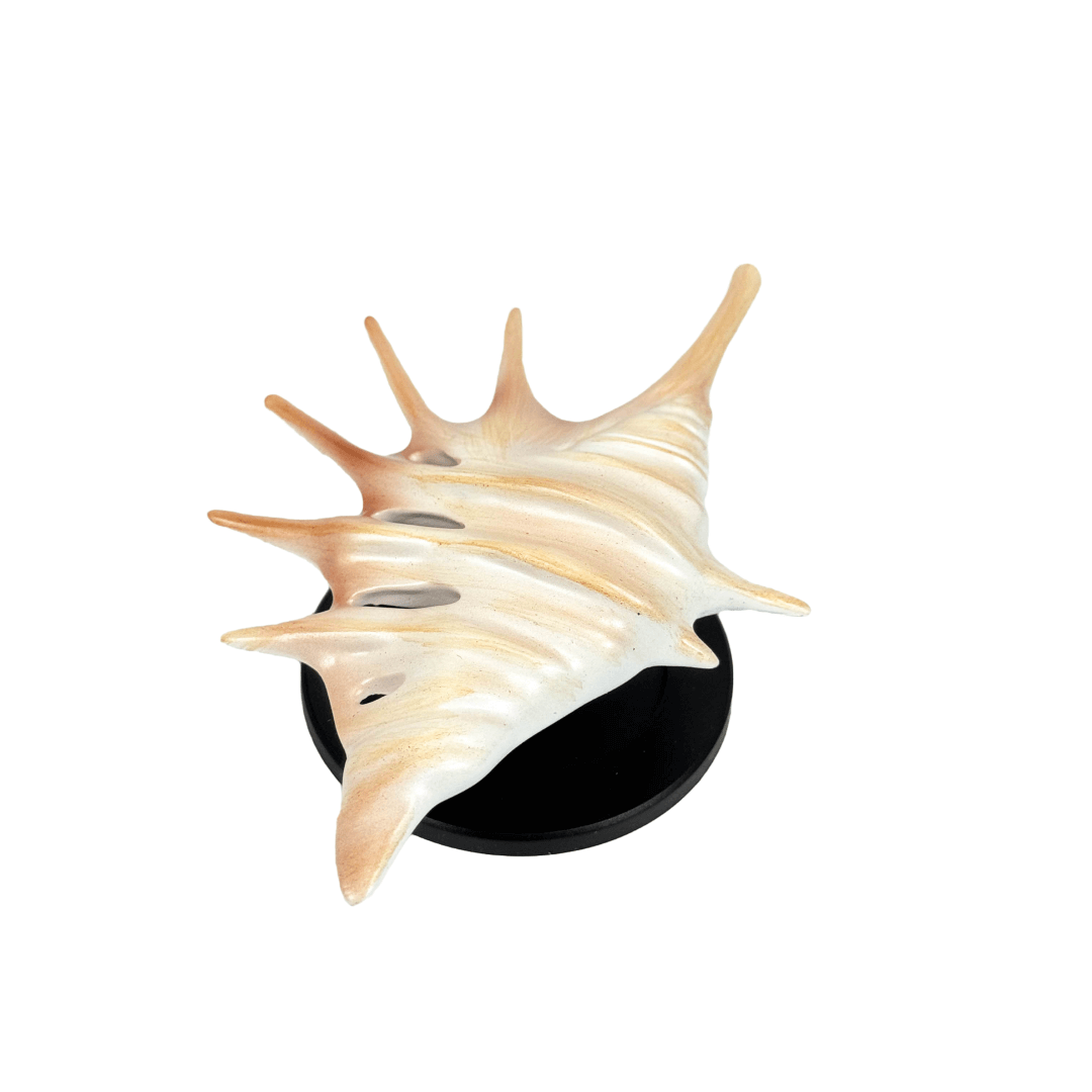 Matte silver, white and yellow spiked conch shell phone grip with sculptural spikes and spiral ridges, mounted on a black base and attached to a gray iPhone case.