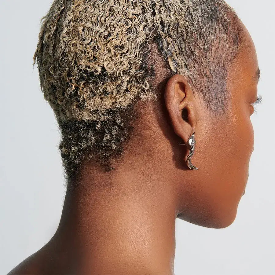 earrings, wing, silver, xtended identity