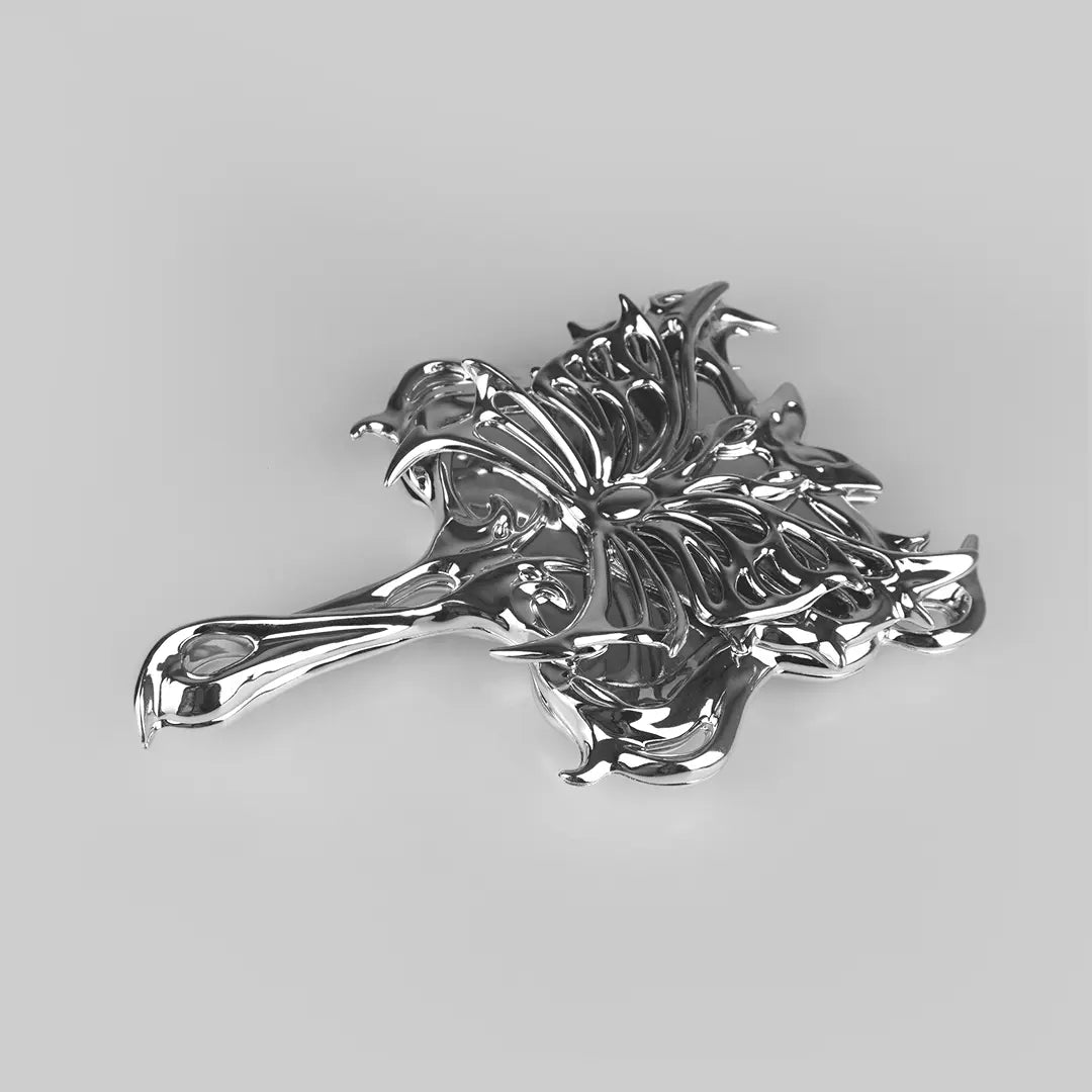 مرآة الفراشة
