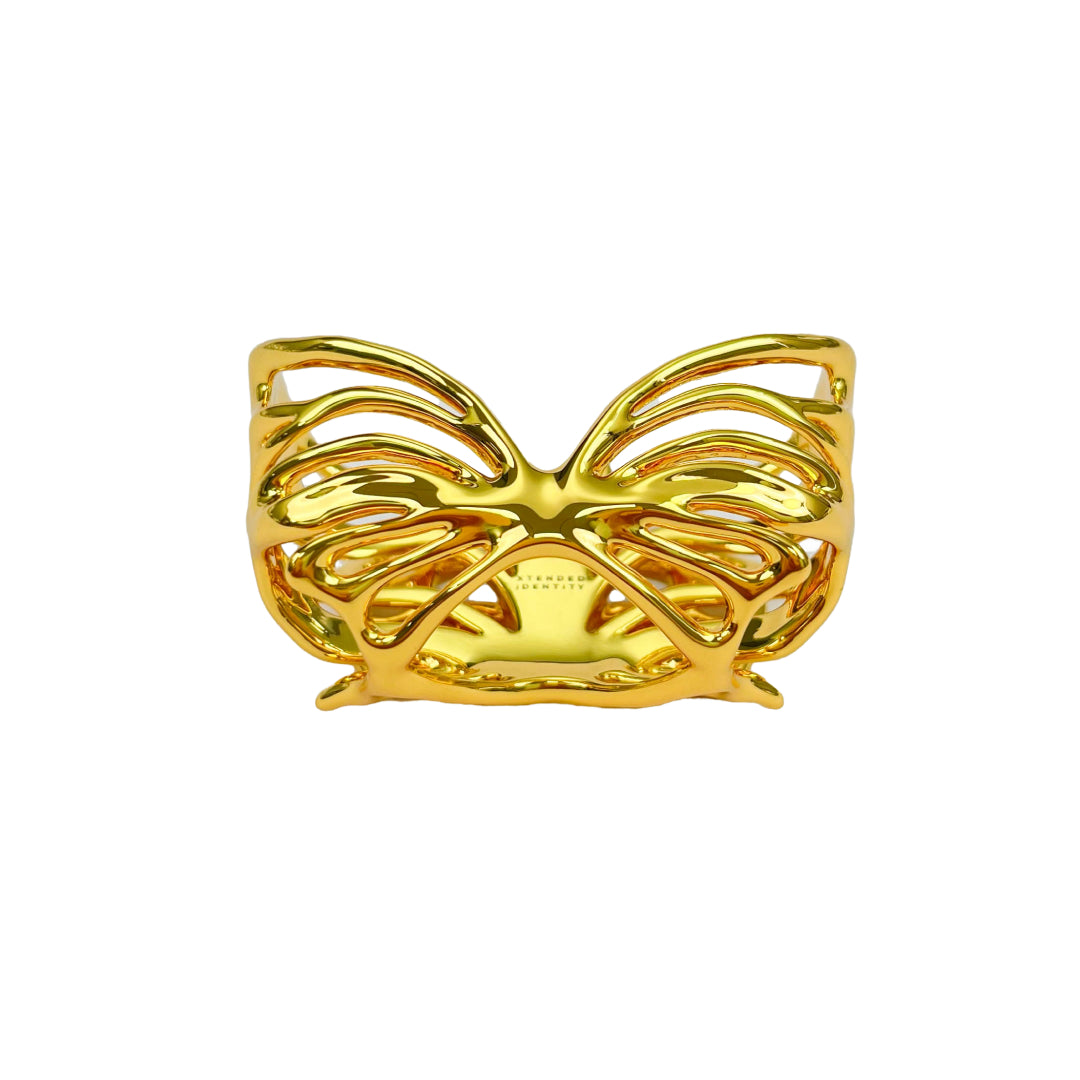 airpods cover, butterfly, sliver, gold, xtended identity
