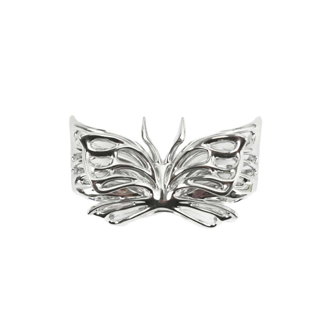 airpods cover, butterfly, sliver, gold, xtended identity