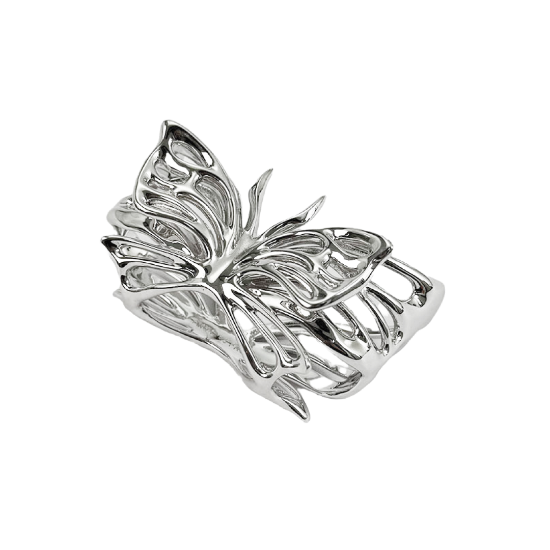 airpods cover, butterfly, sliver, xtended identity