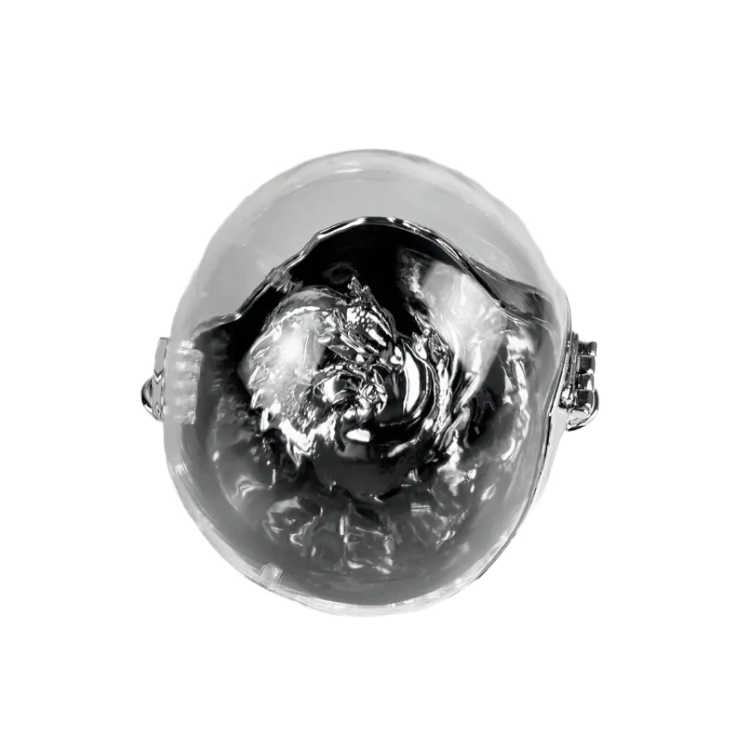 bag, dragon egg, silver, xtended identity