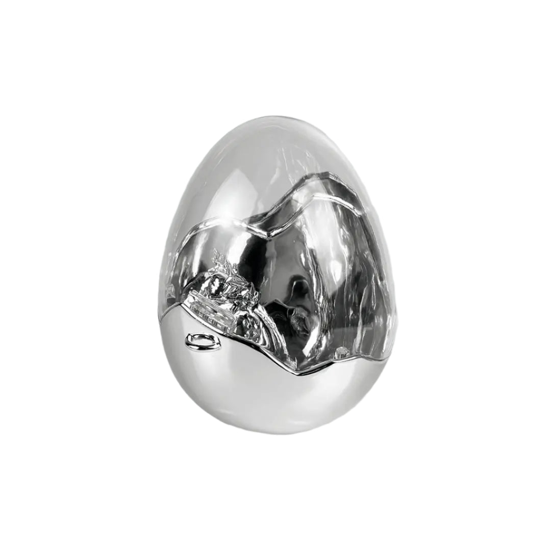 bag, dragon egg, silver, xtended identity
