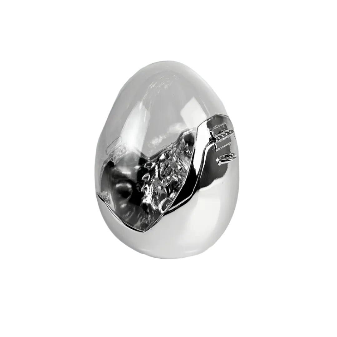 bag, dragon egg, silver, xtended identity