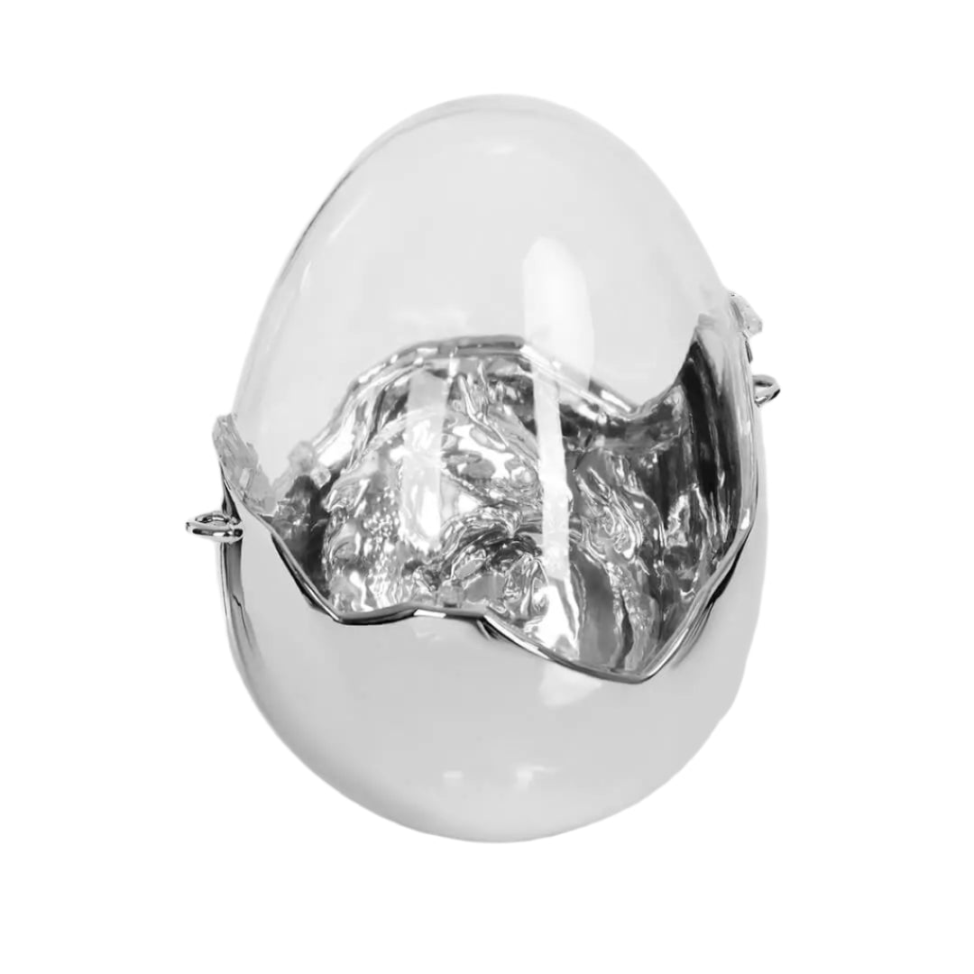bag, dragon egg, silver, xtended identity
