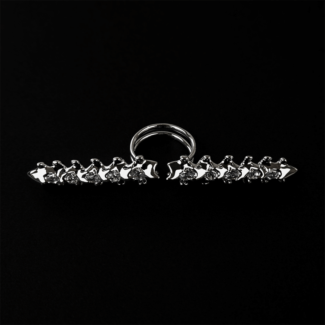 SPiNE OPEN RiNG